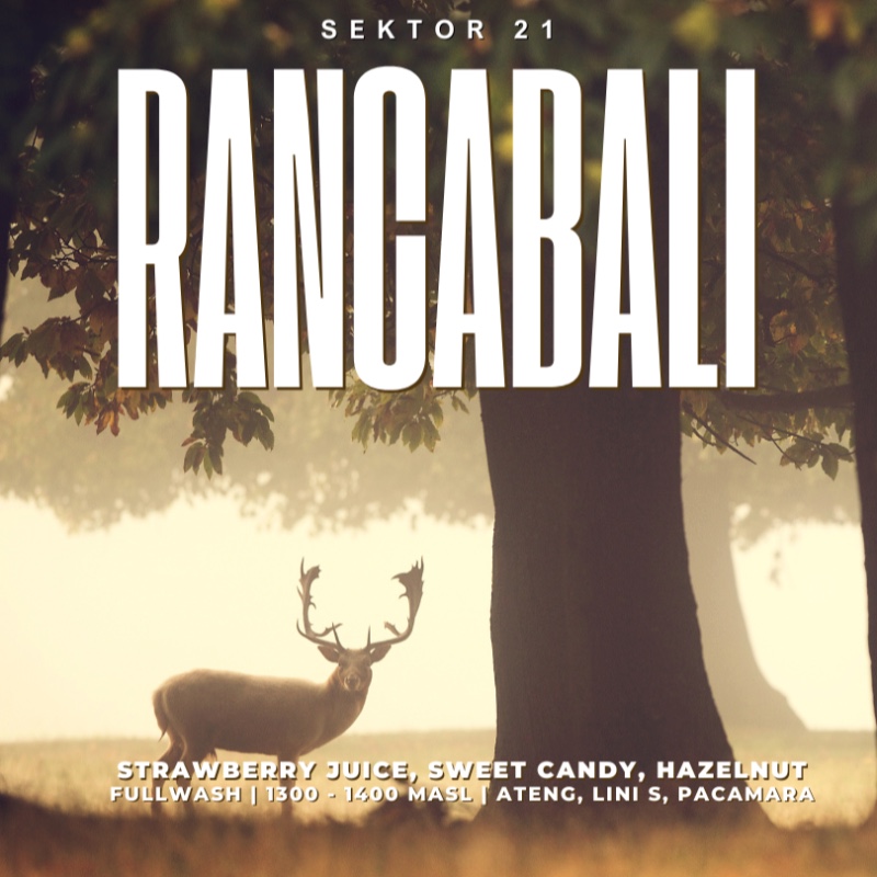 RANCABALI